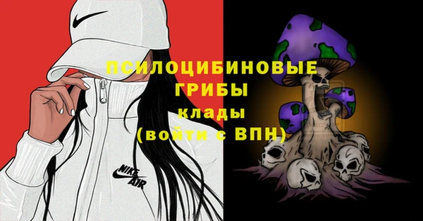 ALPHA PVP Мегион