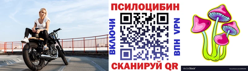 Галлюциногенные грибы мухоморы Новоульяновск